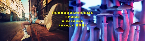 амф Алзамай