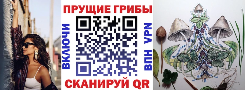 где купить Уварово Псилоцибиновые грибы Psilocybine cubensis